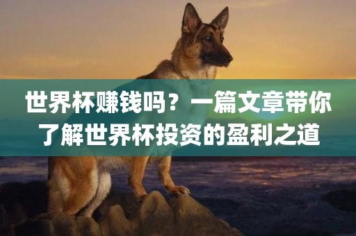 世界杯赚钱吗？一篇文章带你了解洛阳市法福文化传播有限公司世界杯投资的盈利之道