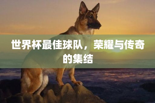 世界杯最佳球队，荣耀与传奇的集结