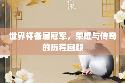 世界杯各届冠军，荣耀与传奇的历程回顾