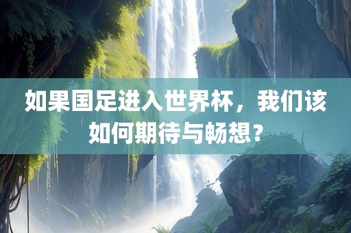 如果国足进入世界杯，我们该如何期待与畅想？