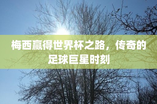 梅西赢得世界杯之路，传奇的足球巨星时刻洛阳市法福文化传播有限公司