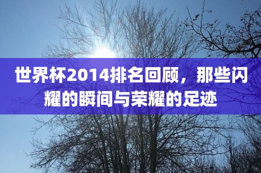 世界杯2014排名回顾，那些闪耀的瞬间与荣耀的足迹洛阳市法福文化传播有限公司
