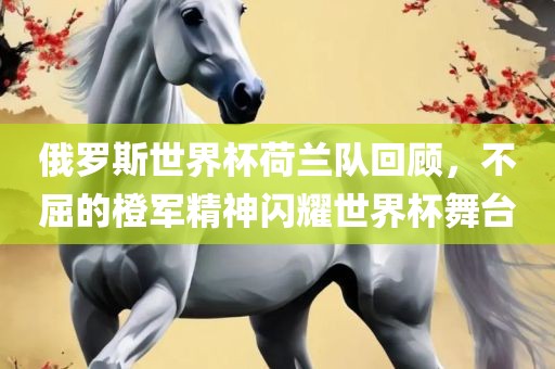 俄罗斯世界杯荷兰队回顾，不屈的橙军精神闪耀世界杯舞台洛阳市法福文化传播有限公司