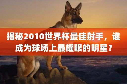 揭秘2010世界杯最佳射手，谁成为球场上最耀眼的明星？