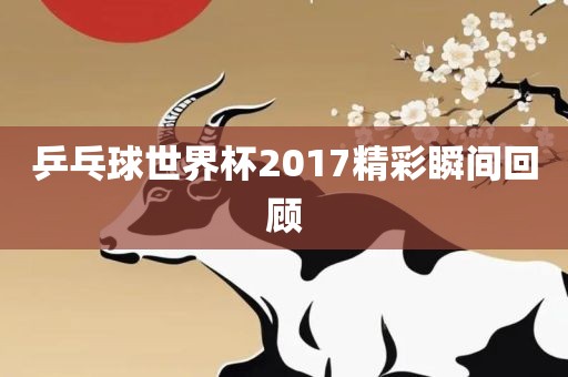 精彩瞬间回顾 第2页
