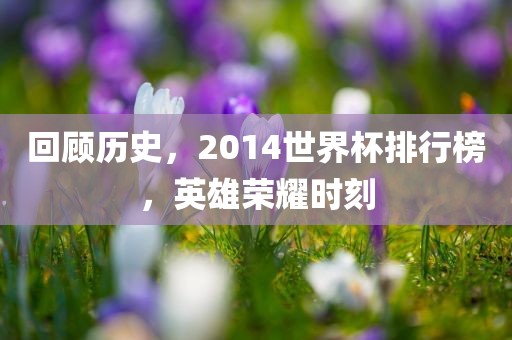 回顾历史，2014世界杯排行榜，英雄荣耀时刻