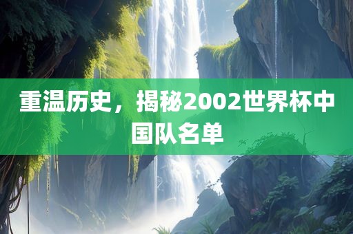 重温历史，揭秘2002世界杯中国队名单