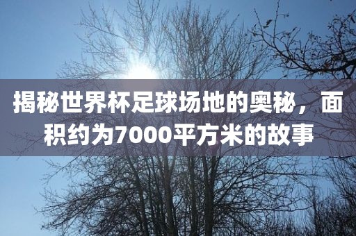 laiyating 第5页