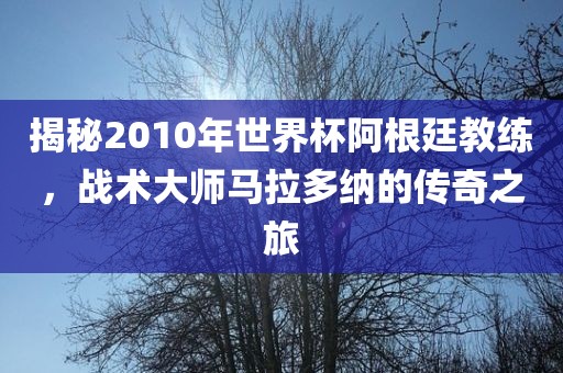 揭秘2010年世界杯阿根廷教练，战术大师马拉多纳的传奇之旅