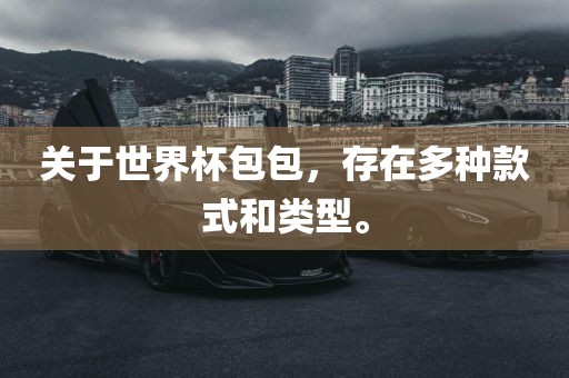 洛阳市法福文化传播有限公司关于世界杯包包，存在多种款式和类型。