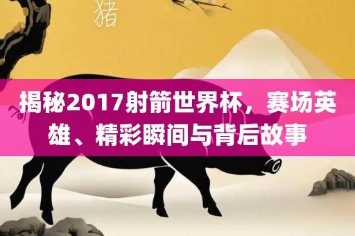 揭秘2017射箭世界杯，赛场英雄、精彩瞬间与背后故事