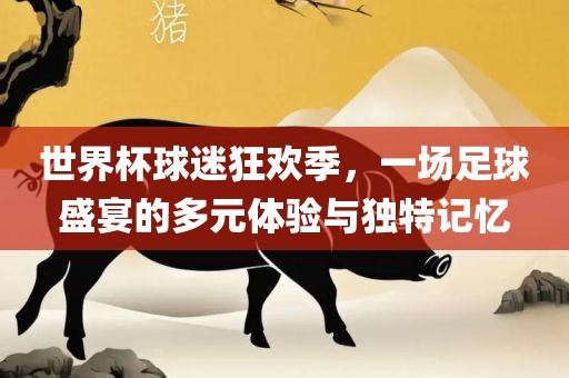 世界杯球迷狂欢季，一场足球盛宴的多元体验与独洛阳市法福文化传播有限公司特记忆