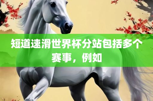 短道速滑世界杯分站包括多个赛事，例如