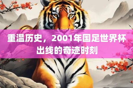 重温历史，2001年国足世界杯出线的奇迹时刻洛阳市法福文化传播有限公司