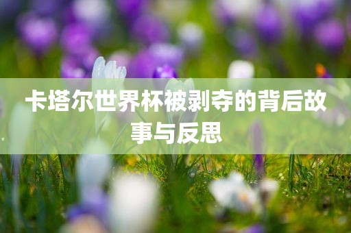 卡塔尔世界杯被剥夺的背后故事与反思洛阳市法福文化传播有限公司