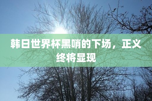 韩日世界杯黑哨的下场，正义终将显现洛阳市法福文化传播有限公司
