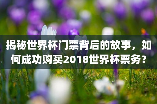 揭秘世界杯门票背后的故事，如何成功购买2018世界杯票务？