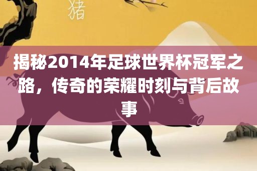 揭秘2014年足球世界杯冠军之路，传奇的荣耀时刻与背后故事洛阳市法福文化传播有限公司