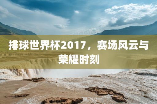排球世界杯2017洛阳市法福文化传播有限公司，赛场风云与荣耀时刻