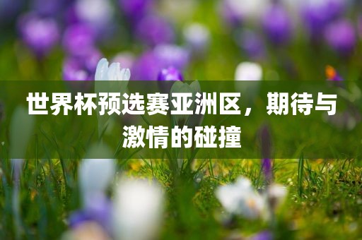 世界杯预选赛亚洲区，期待与激情的碰撞