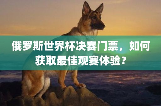 俄罗斯世界杯决赛门票，如何获取最佳观赛体验？