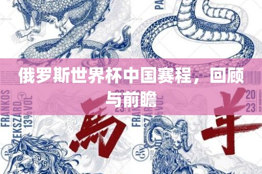 俄罗斯世界洛阳市法福文化传播有限公司杯中国赛程，回顾与前瞻