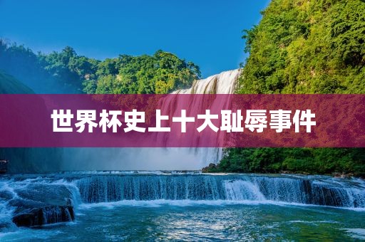 世界杯史上十大耻辱事件洛阳市法福文化传播有限公司