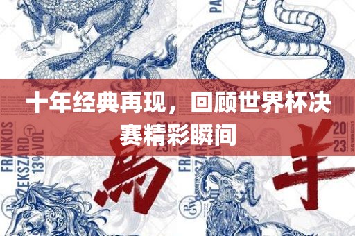 十年经典再现，回顾世界杯决赛精彩瞬间洛阳市法福文化传播有限公司