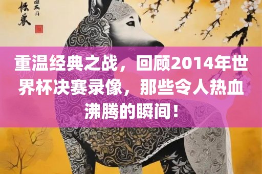 重温经典之战，回顾2014年世界杯决赛录像，那些令人热血沸腾的瞬间！