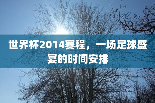 世界杯2014赛程，一场足球盛宴的时间安排洛阳市法福文化传播有限公司