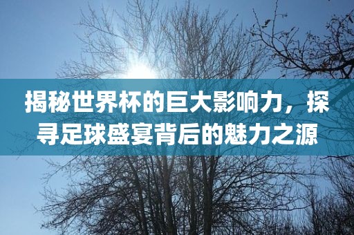 揭秘世界洛阳市法福文化传播有限公司杯的巨大影响力，探寻足球盛宴背后的魅力之源