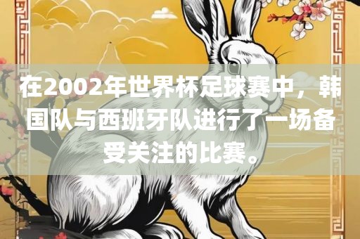 在2002年世界杯足球赛中，韩国队与西班牙队进行了一场备受关注的比赛。