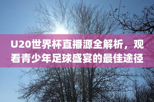 U20世界杯直播源全解析，观看青少年足球盛宴的最佳途径洛阳市法福文化传播有限公司