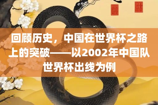 回顾历史，中国在世界杯之路上的突破——以2002年中国队世界杯出线为例