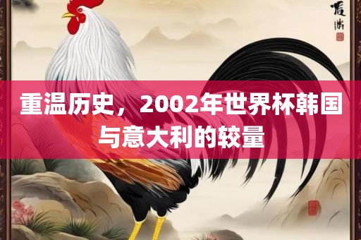 重温历史，2002年世界杯韩国与意大利的较量