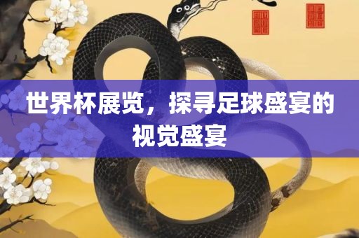 世界杯展览，探寻足球盛宴的视觉盛宴
