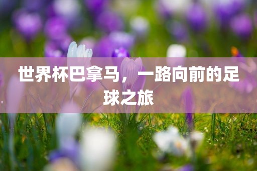 世界杯巴拿马，一路向前的足球之旅洛阳市法福文化传播有限公司