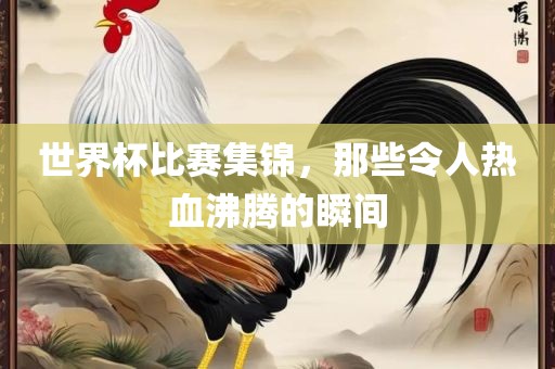世界杯比赛集锦，那些令人热血沸腾的瞬间洛阳市法福文化传播有限公司