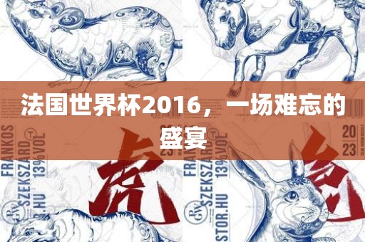 法国世界杯2016，一场难忘的盛宴