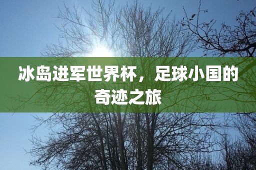 冰岛进军世界杯，足球小国的奇迹之旅