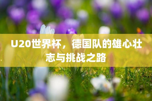 U20世界杯，德国队的雄心壮志与挑战之路