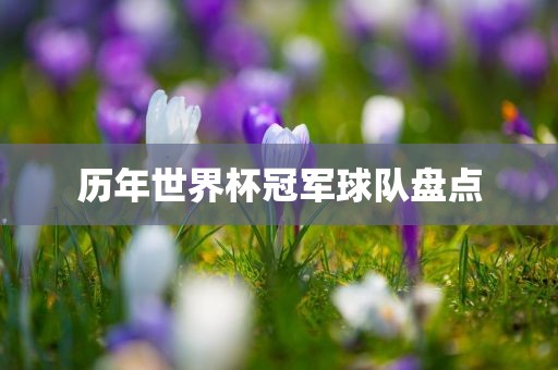 历年世界杯冠军球队盘点