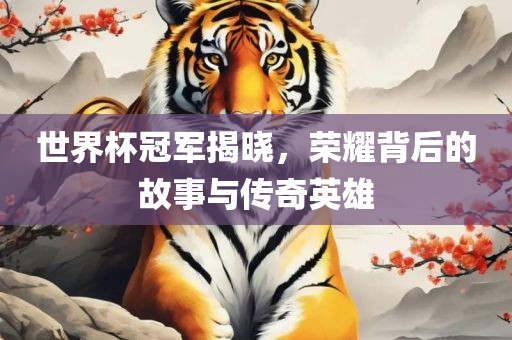 世界杯冠军揭晓，荣耀背后的故事与传奇英雄