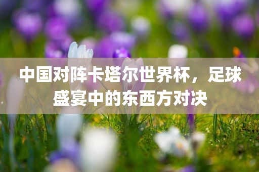 hongguoxiang 第6页
