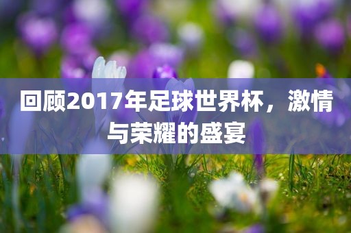 回顾2017年足球世界杯，激情与荣耀的盛宴