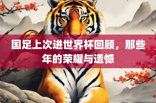 国足上次进世界杯回顾，那些年的荣耀与遗憾洛阳市法福文化传播有限公司