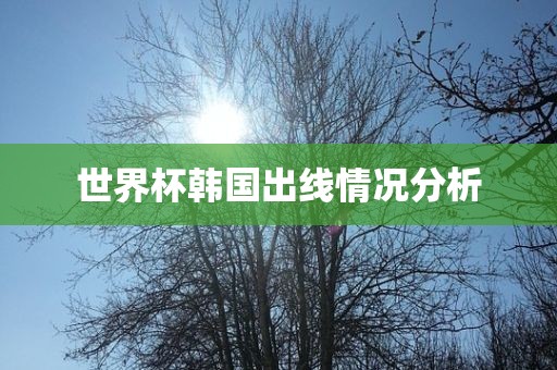 世界杯韩国出线情况分析洛阳市法福文化传播有限公司