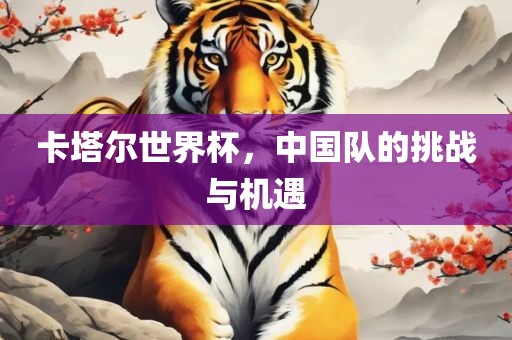 卡塔尔世界杯，中国队的挑战与机遇