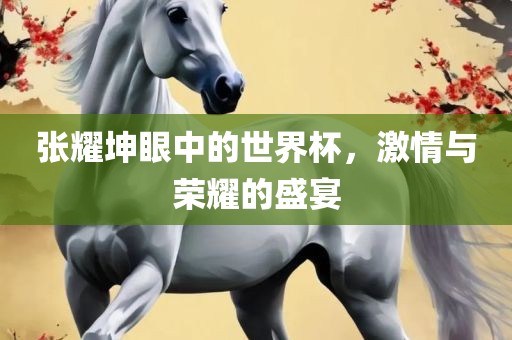 张耀坤眼中的世界杯，激情与荣耀的盛宴