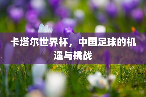 卡塔尔世界杯，中国足球的机遇与挑战